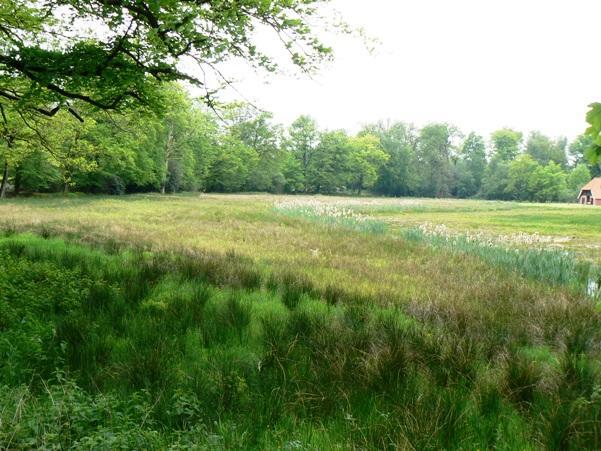 Twentekiek Villa Delden Exteriör bild
